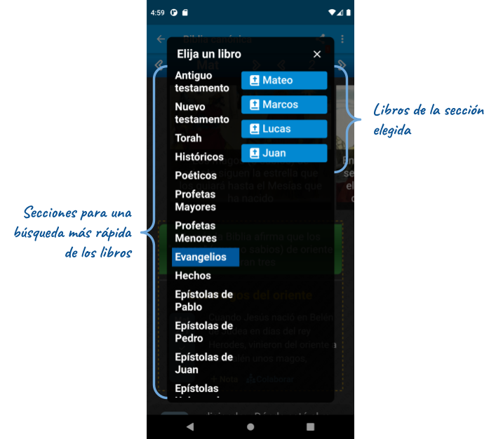 imagen.png